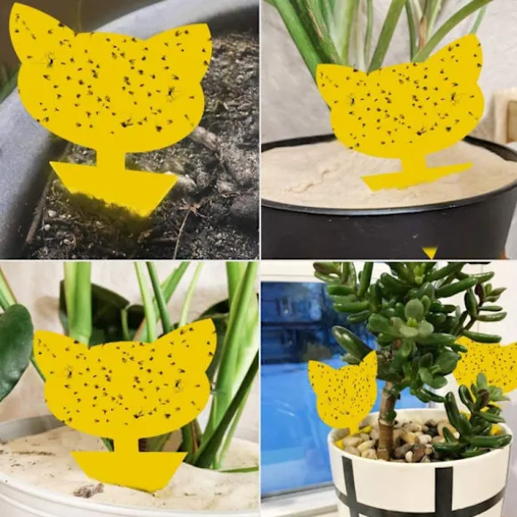 INF 60-pack Flugfångare / Flugfälla / Klibbig insektsfälla Gul