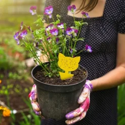 INF 60-pack Flugfångare / Flugfälla / Klibbig insektsfälla Gul