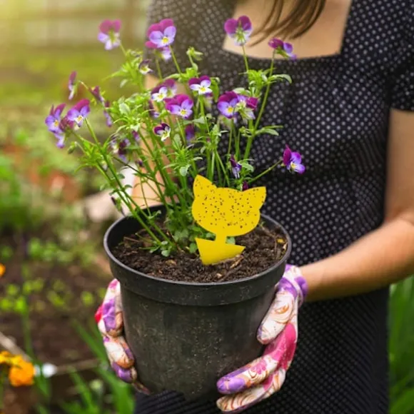 INF 60-pack Flugfångare / Flugfälla / Klibbig insektsfälla Gul