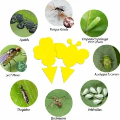 INF 60-pack Flugfångare / Flugfälla / Klibbig insektsfälla Gul