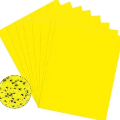 Klibbig fälla för skadeinsekter Flugfångare 20-pack Gul 20x10 cm