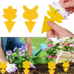 Klibbig fälla mot bananflugor och skadedjur på krukväxter 60-pack Gul