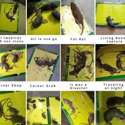 Sticky Mouse Board Mouse Trap Sticky Board, Strong Stickiness, Mouse Trap 3 Packs