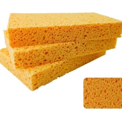 Svamp, kökssvampar, praktiska svampar, cellulosasvampar, disksvamp, natursvamp, biltvättsvamp, miljövänlig svamp