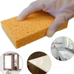 Svamp, kökssvampar, praktiska svampar, cellulosasvampar, disksvamp, natursvamp, biltvättsvamp, miljövänlig svamp